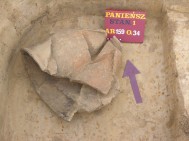 Panieńszczyzna